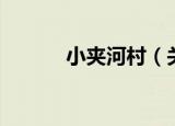 小夹河村（关于小夹河村介绍）