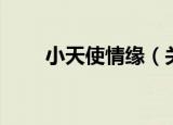 小天使情缘（关于小天使情缘介绍）