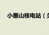 小墨山核电站（关于小墨山核电站介绍）