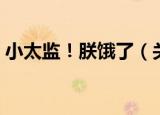 小太监！朕饿了（关于小太监！朕饿了介绍）