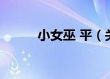 小女巫 平（关于小女巫 平介绍）