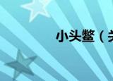 小头鳖（关于小头鳖介绍）