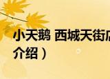小天鹅 西城天街店（关于小天鹅 西城天街店介绍）