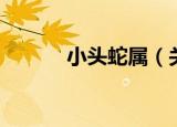 小头蛇属（关于小头蛇属介绍）