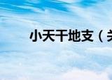 小天干地支（关于小天干地支介绍）