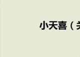 小天喜（关于小天喜介绍）