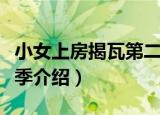 小女上房揭瓦第二季（关于小女上房揭瓦第二季介绍）