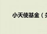小天使基金（关于小天使基金介绍）