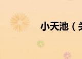 小天池（关于小天池介绍）