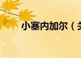 小塞内加尔（关于小塞内加尔介绍）