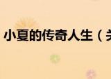 小夏的传奇人生（关于小夏的传奇人生介绍）