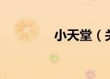 小天堂（关于小天堂介绍）