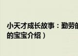 小天才成长故事：勤劳的宝宝（关于小天才成长故事：勤劳的宝宝介绍）