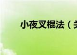 小夜叉棍法（关于小夜叉棍法介绍）