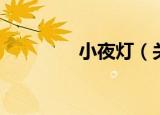小夜灯（关于小夜灯介绍）