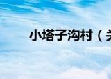 小塔子沟村（关于小塔子沟村介绍）