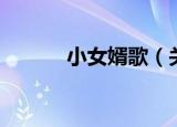 小女婿歌（关于小女婿歌介绍）