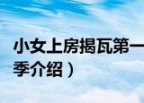 小女上房揭瓦第一季（关于小女上房揭瓦第一季介绍）