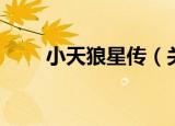 小天狼星传（关于小天狼星传介绍）