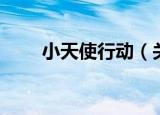小天使行动（关于小天使行动介绍）