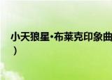 小天狼星·布莱克印象曲（关于小天狼星·布莱克印象曲介绍）