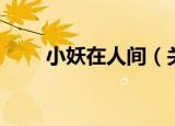 小妖在人间（关于小妖在人间介绍）