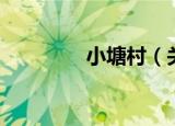 小塘村（关于小塘村介绍）