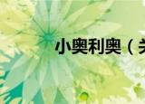 小奥利奥（关于小奥利奥介绍）