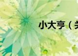 小大亨（关于小大亨介绍）