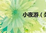小夜游（关于小夜游介绍）