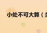 小处不可大算（关于小处不可大算介绍）