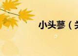 小头蓼（关于小头蓼介绍）
