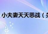 小夫妻天天恶战（关于小夫妻天天恶战介绍）