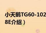 小天鹅TG60-1028E（关于小天鹅TG60-1028E介绍）