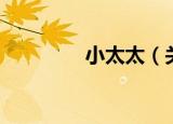 小太太（关于小太太介绍）