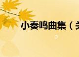小奏鸣曲集（关于小奏鸣曲集介绍）