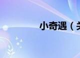 小奇遇（关于小奇遇介绍）