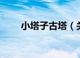 小塔子古塔（关于小塔子古塔介绍）