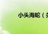 小头海蛇（关于小头海蛇介绍）