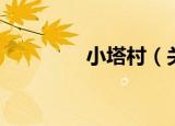 小塔村（关于小塔村介绍）