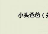 小头爸爸（关于小头爸爸介绍）