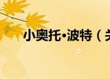 小奥托·波特（关于小奥托·波特介绍）