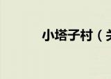 小塔子村（关于小塔子村介绍）