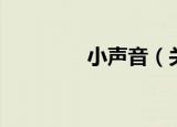 小声音（关于小声音介绍）