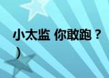 小太监 你敢跑？（关于小太监 你敢跑？介绍）