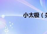 小太极（关于小太极介绍）