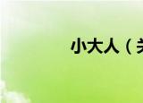 小大人（关于小大人介绍）