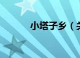 小塔子乡（关于小塔子乡介绍）