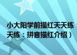 小大阳学前描红天天练：拼音描红（关于小大阳学前描红天天练：拼音描红介绍）