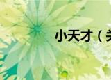 小天才（关于小天才介绍）